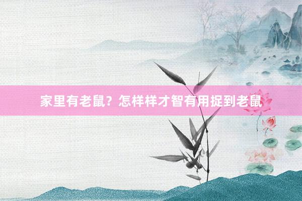 家里有老鼠？怎样样才智有用捉到老鼠